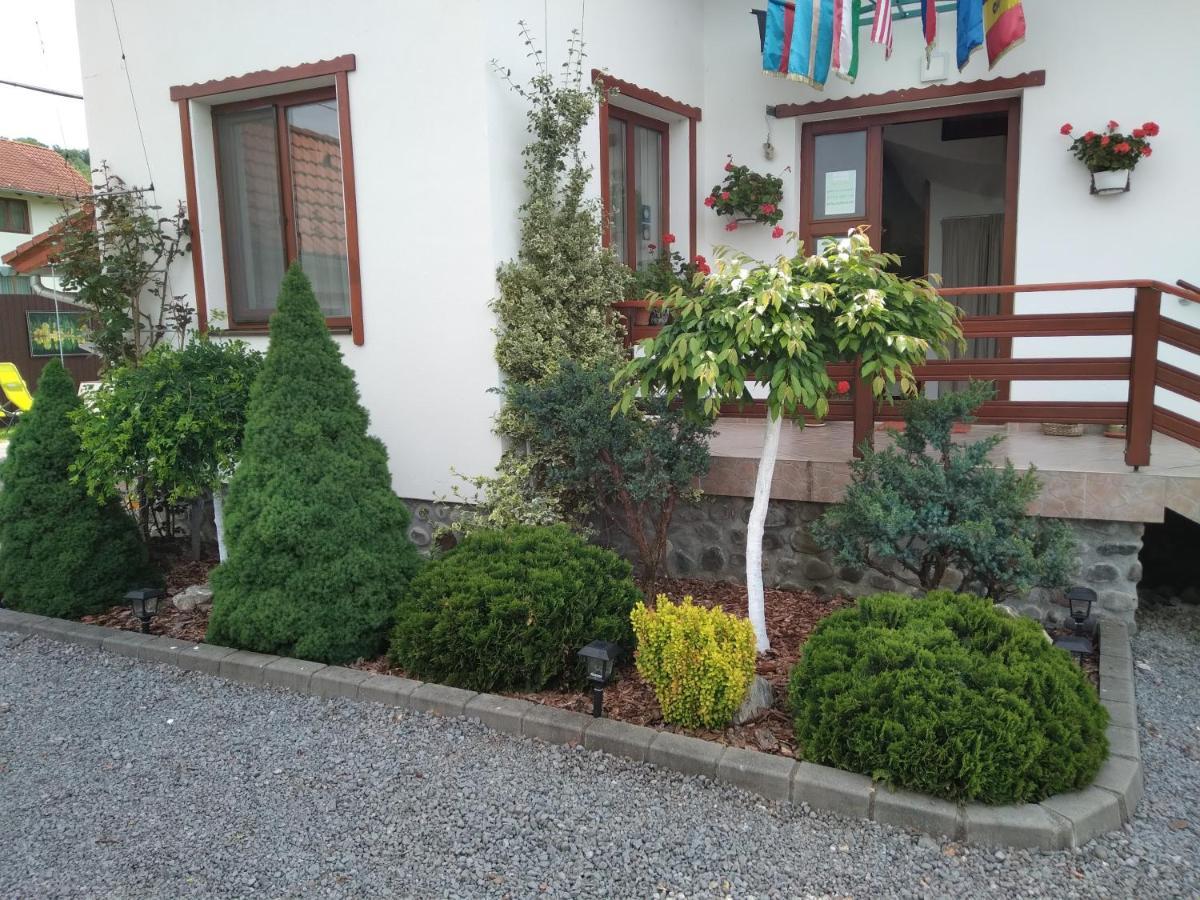Raza Soarelui Apartamento Sovata Exterior foto